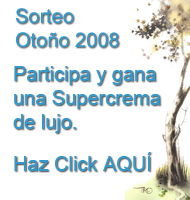 Sorteo Verano 2008