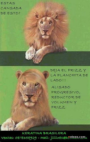 La caída intensiva de los cabello la causa a las mujeres