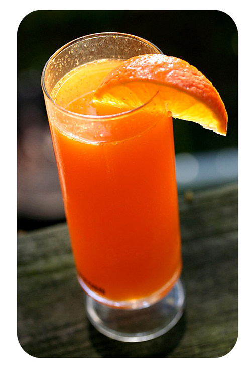 baja-mimosa