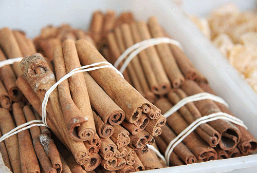 canela-2