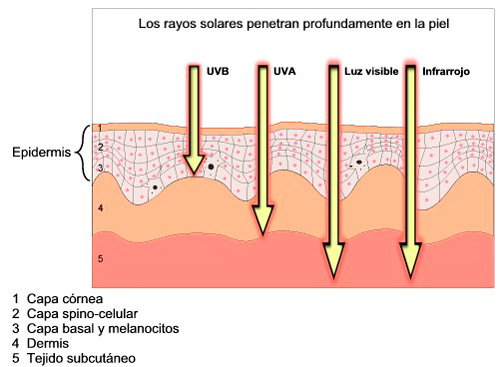 rayos-uva-uvb-infrarrojos-piel