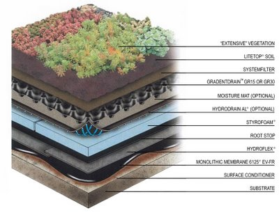 tejados ecologicos