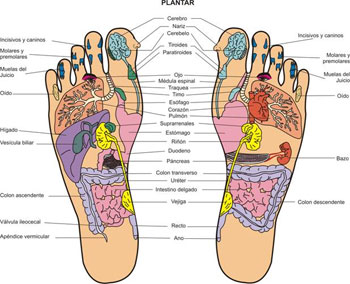 reflexologia