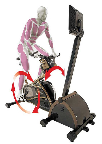 musculaturabaja