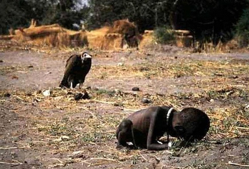 BNW-vulture-waits-for-child-to-die