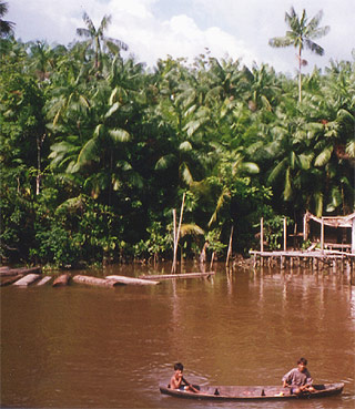 cambio climático en cosmética