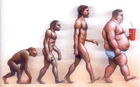 evolucion