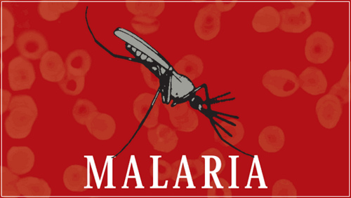 dia de la malaria