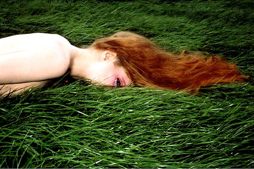 Cabello sobre hierba Guy Bourdain