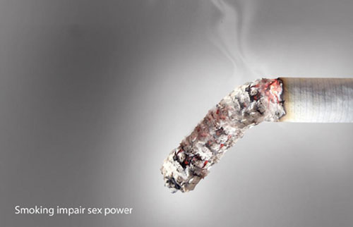 3603227604_d393a0dc26