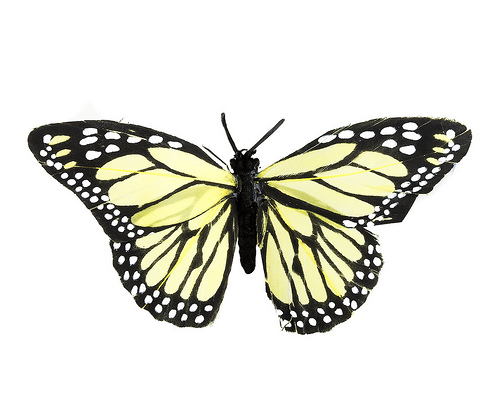 zapatos mariposa
