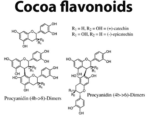 flavonoides
