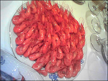 camarones