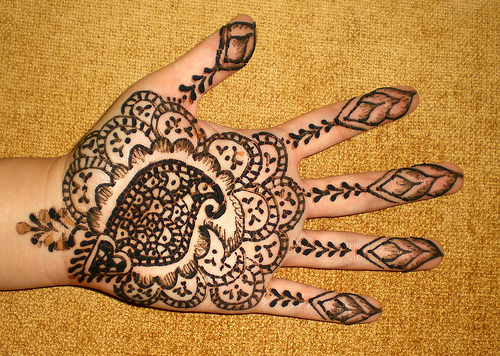 web 2624063088_74a2f13a65