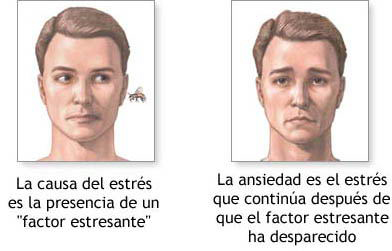 web EstresAnsiedad-392 web EstresAnsiedad-392