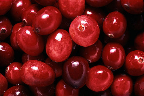 Cranberries-2