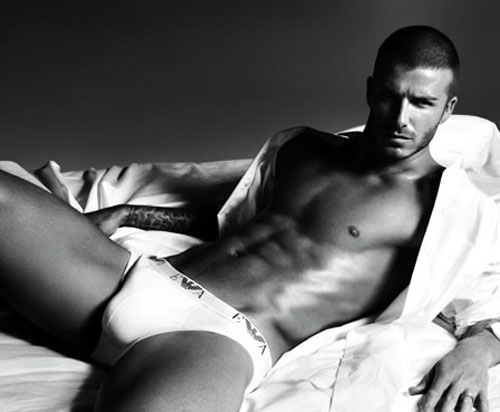david