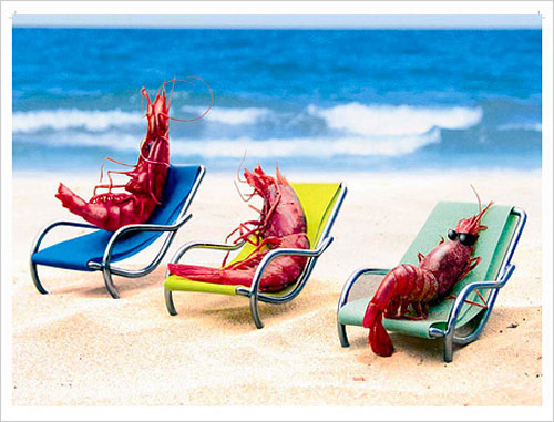 gambas