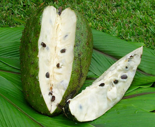 guanabana2