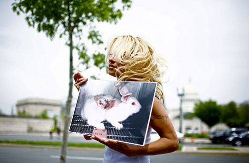 Pamela-Anderson-PETA