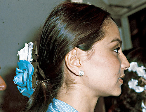 perfil-isabel_preysler perfil-isabel_preysler