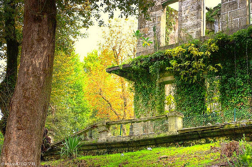 3018928121_d5af97376c