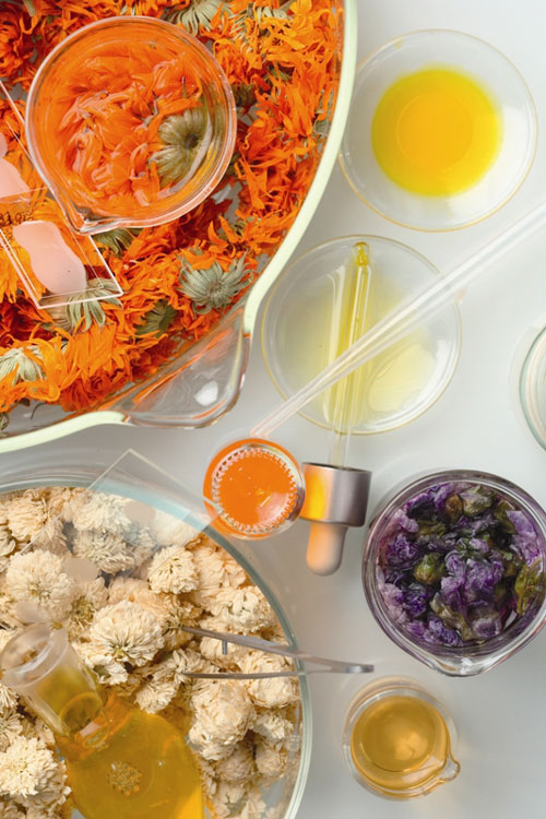 Materias-primas-L'Oreal