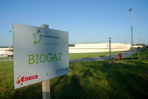 Planta-ecologica-L'Oreal