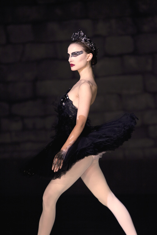 web-Cisne-Negro_05840 web-Cisne-Negro_05840