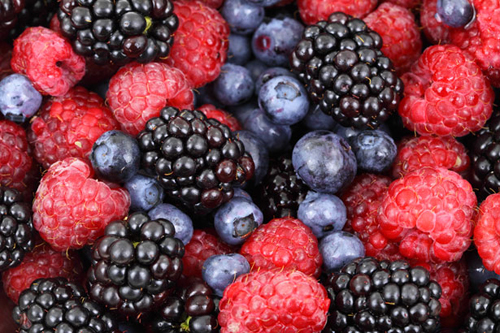 OK-frutas-del-bosque