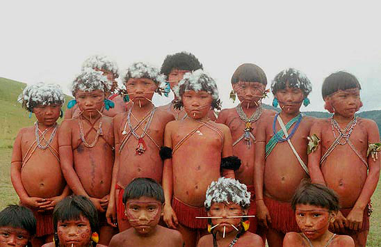 indigenas