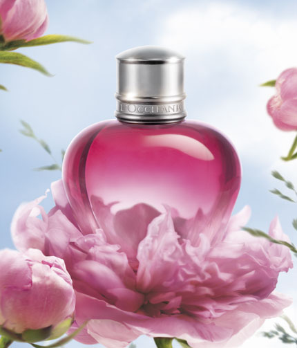 pivoine-flora-l-occitane1