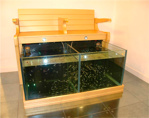 Solana&Rojano-garra-rufa