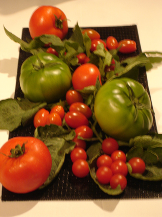 tomates-2