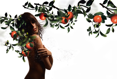 naranjas-Kumquat