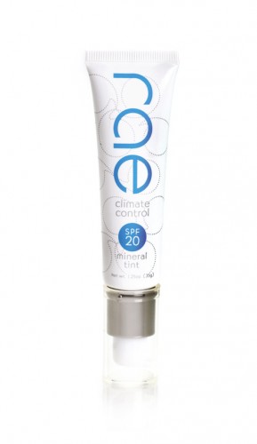 web-rae-Climate-Control