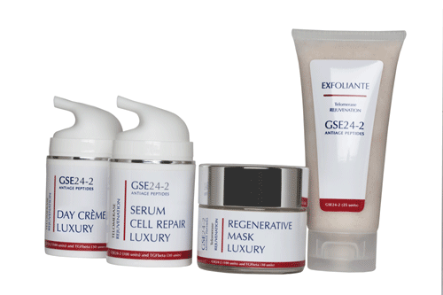 gse-24---2-cosmetica