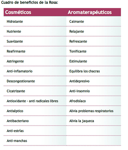 propiedades rosa bulgaria