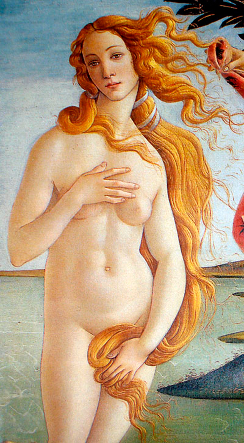 nacimiento venus botticelli