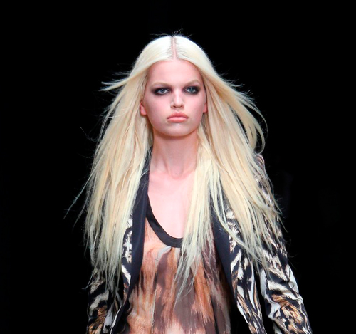 Desfile de Roberto Cavalli