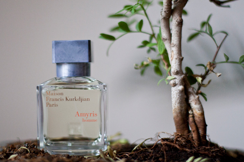 amyris francis kurkdjian