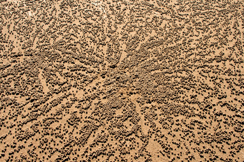 deshidratacion-cutanea