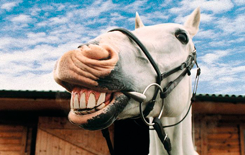 hamburguesas-carne-caballo-ocu