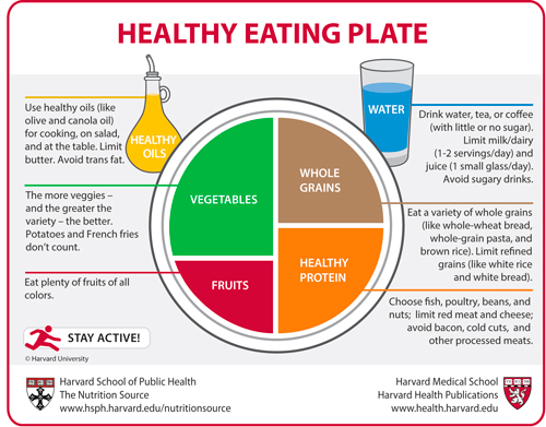 piramide-nutricional-dieta-saludable-harvard-leche