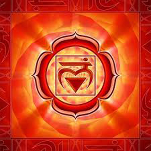 chacra sexual chacra