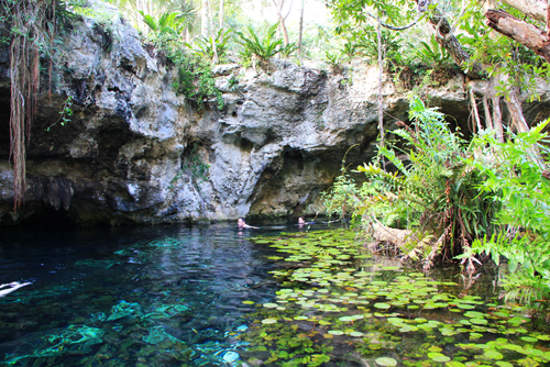 protectores-solares-biodegradables