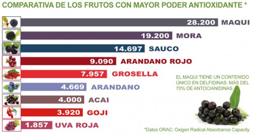 extracto de maqui antioxidante