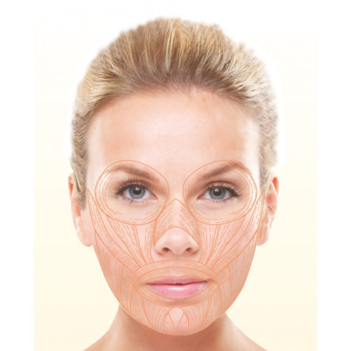 appareil-electrostimulation-visage-pro-lift - copia baja