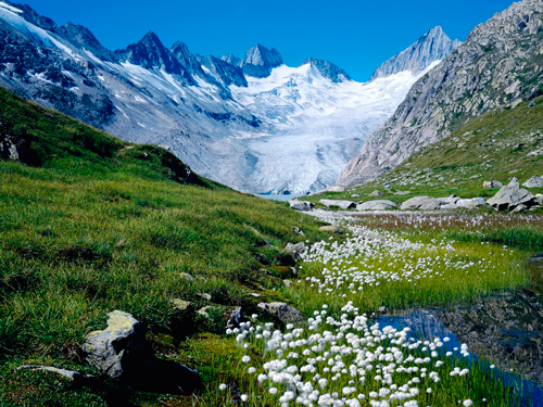 cosmetica-alpure-alpes-suizos