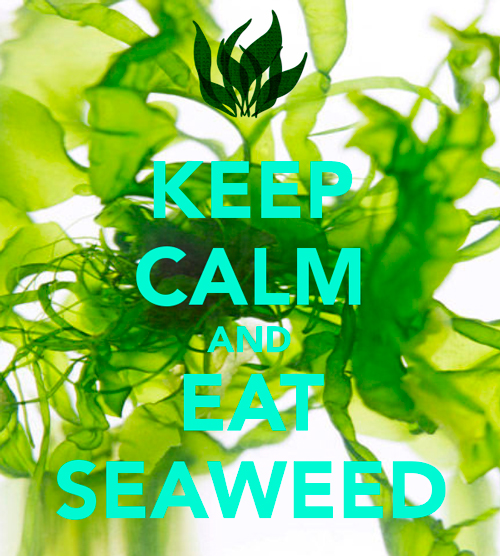 espirulinas-algas-superalimento